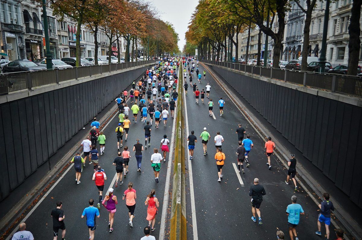Peloton d'une course sur route vu de haut, sur une avenue bordée d'arbres